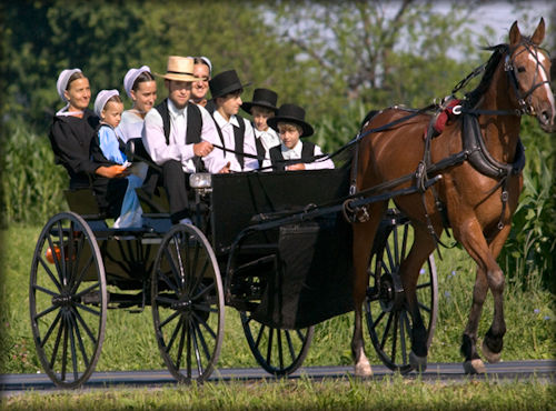 Amish Buggy Amish Gift Basket - Assorted Items